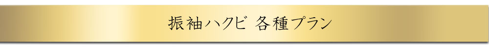 ハクビの各種プラン