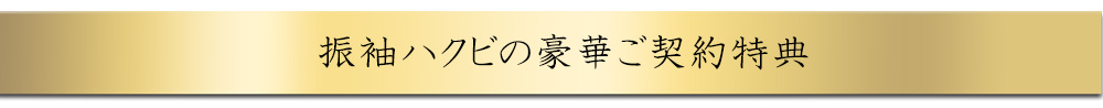 期間限定の豪華ご契約特典