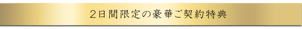 豪華ご契約特典