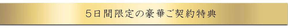 豪華ご契約特典