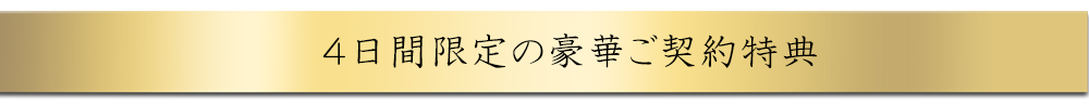 豪華ご契約特典