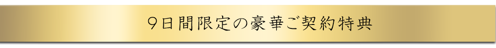 豪華ご契約特典
